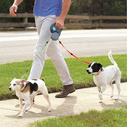 All-in-One Dog Walking Tool