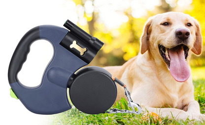 All-in-One Dog Walking Tool