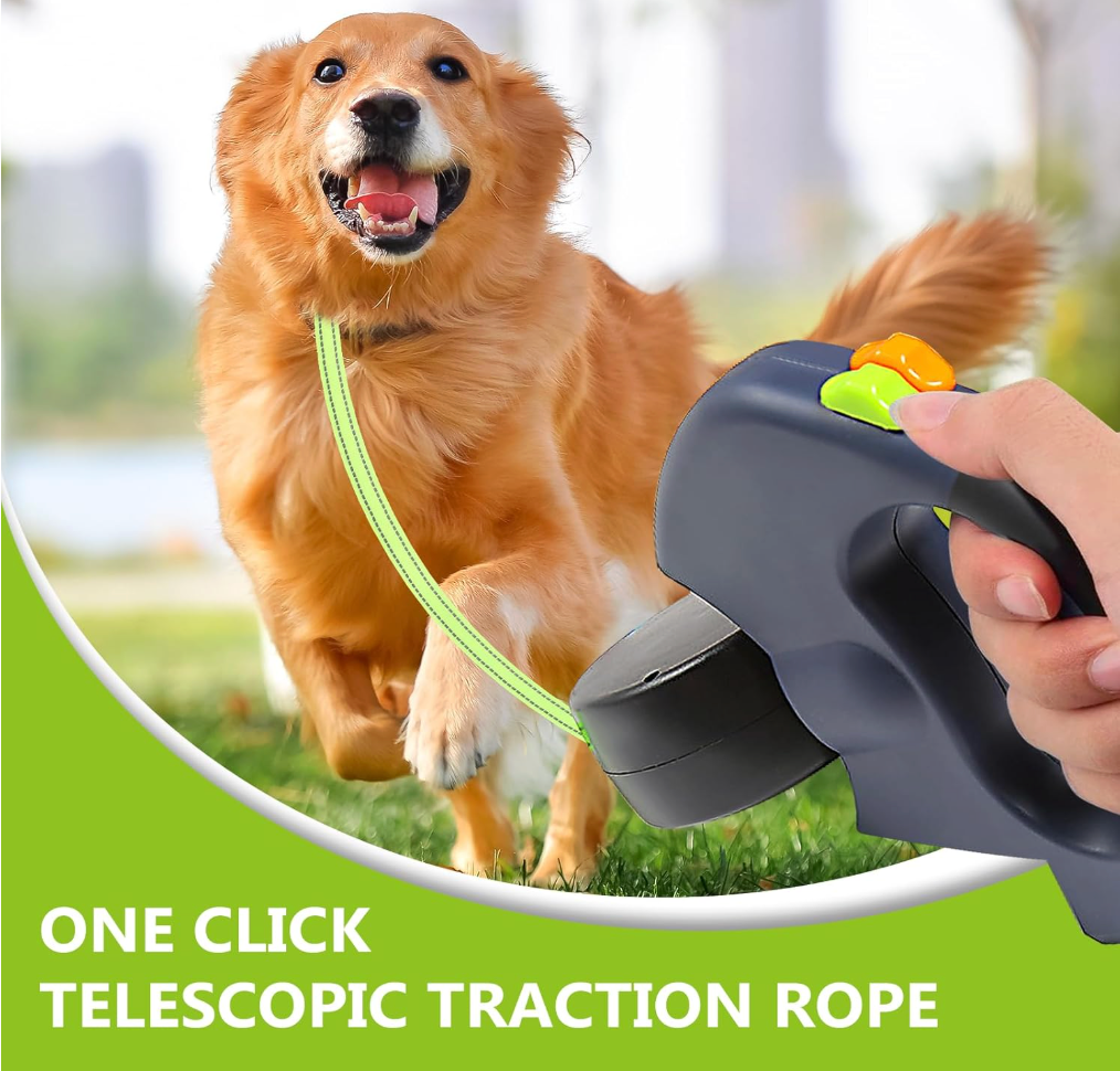 All-in-One Dog Walking Tool
